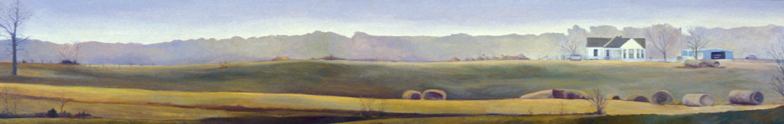 'Leeway', Oil on canvas, 12x60 inches, by Jane Pronko, 1987