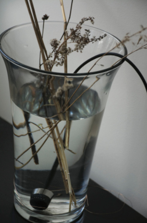 'Arrangements', Water, microphone and prairie materials, by Abby Aresty