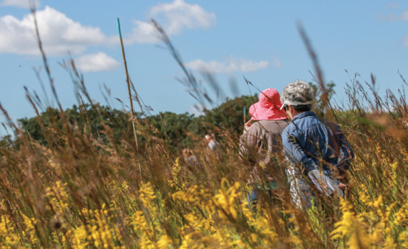 “So interesting that we were never invited to think specifically about the prairie ecosystem, but instead embedded in the prairie landscape...”