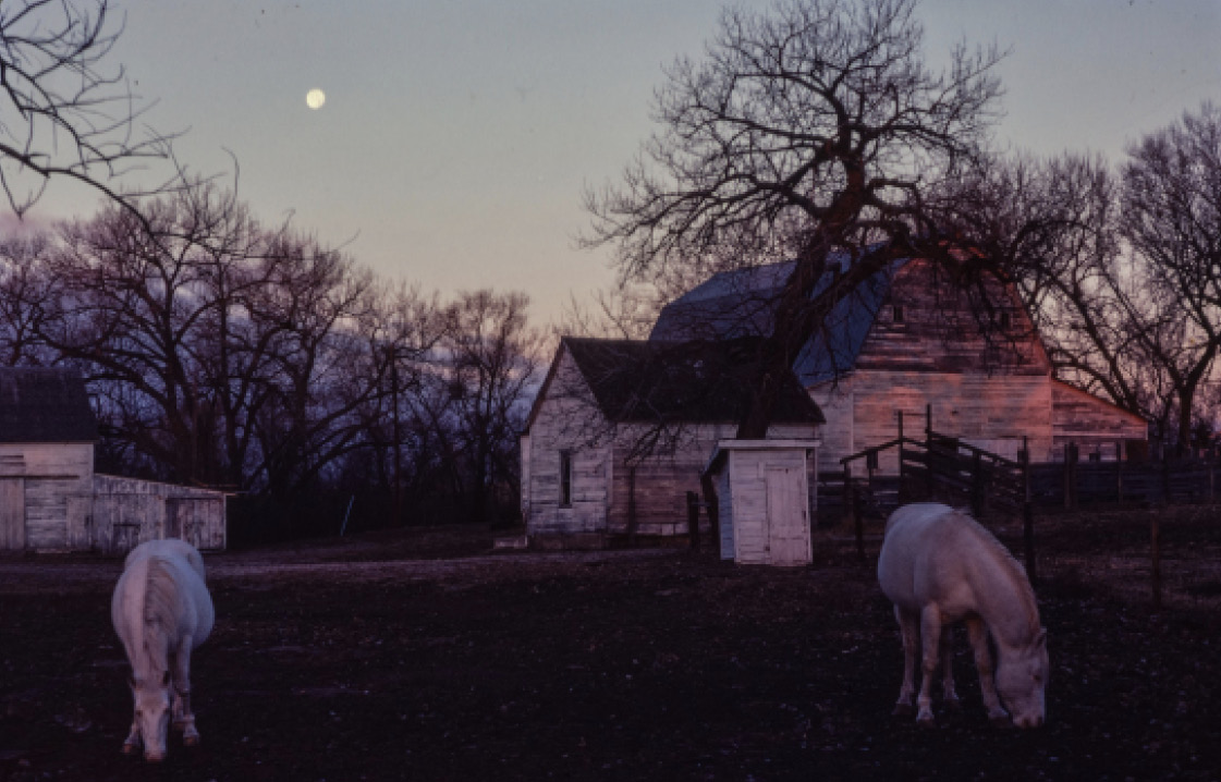 Photo of White Horse Ranch, courtesy of Dan Weeks