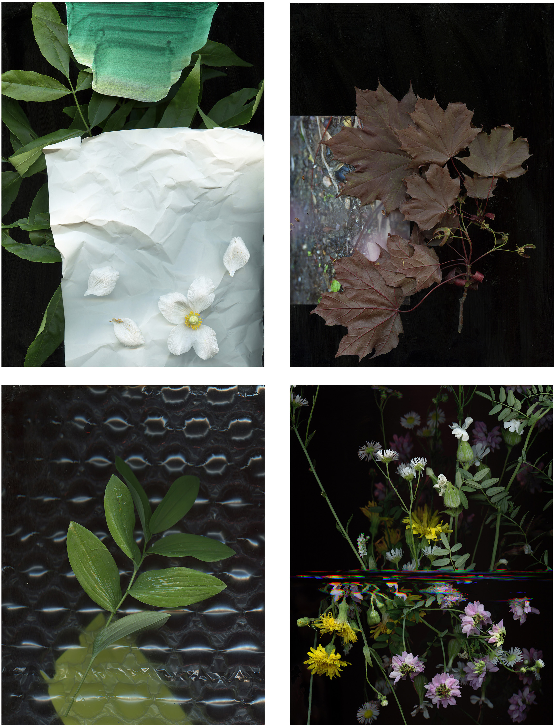 Clockwise from top left, "Prairie Construct #23, #5, #37 & #18," Archival Inkjet Print, each image 36 x 54 inches, by Regan Golden, 2015