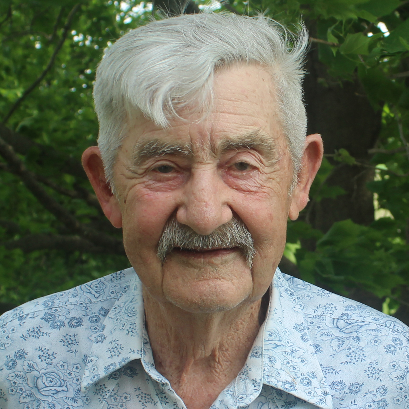 Portrait image of author Allan Moyer.
