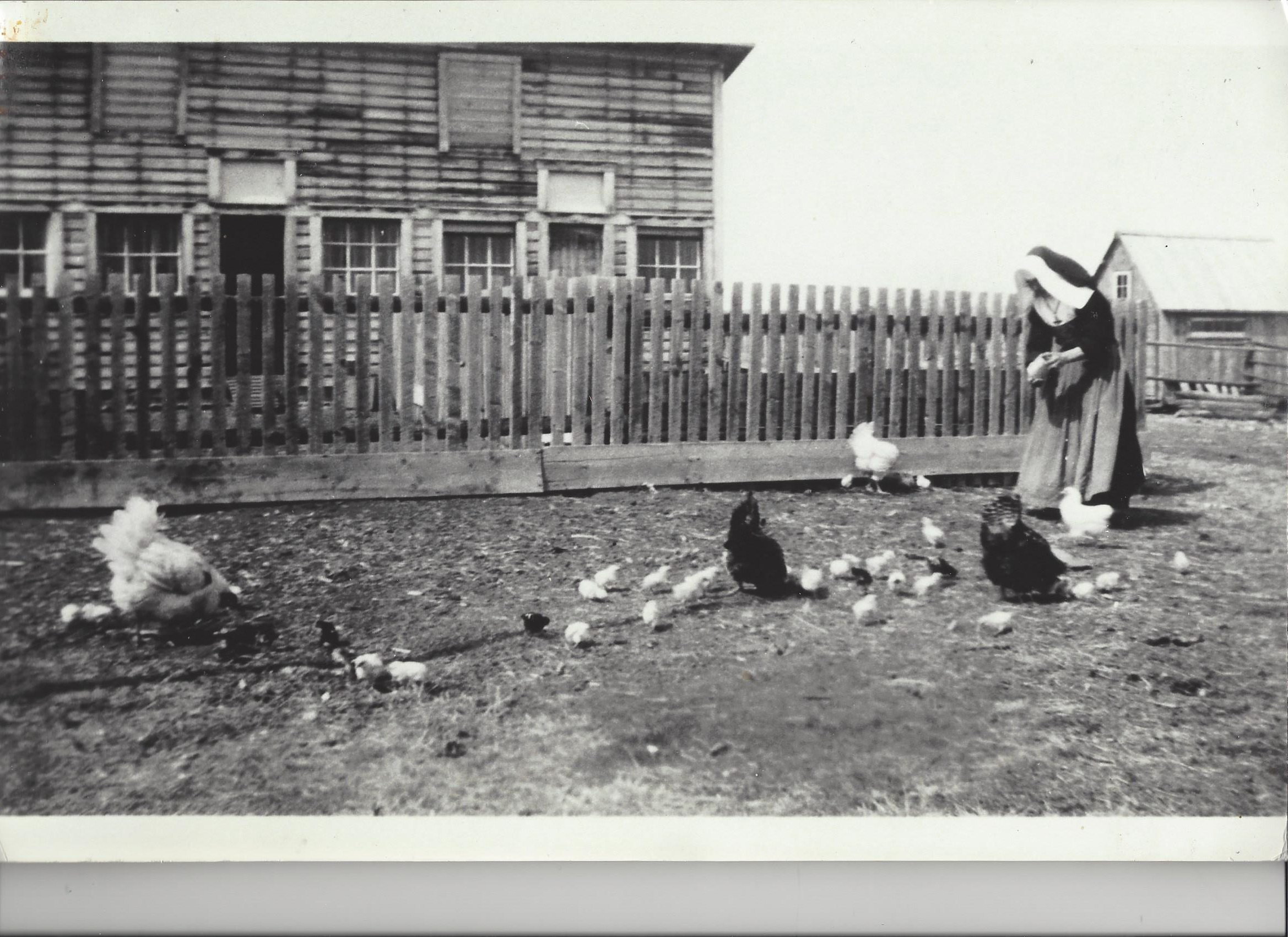 Nun Feeding Chickens at the Lac La Biche Mission, date and photographer unknown