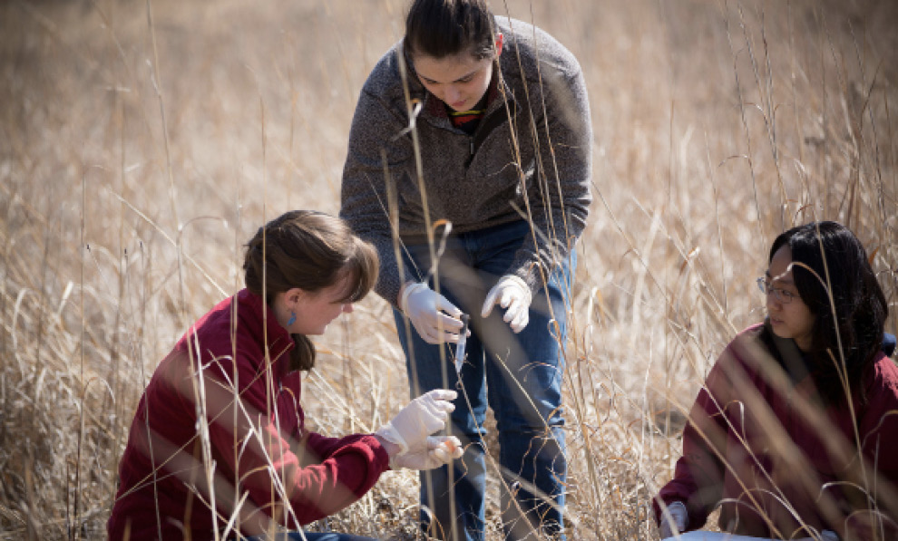 Grinnell College students analyzing soil chemstry at the Conard Environmental Research Area (CERA). Photograph by Jun Taek Lee