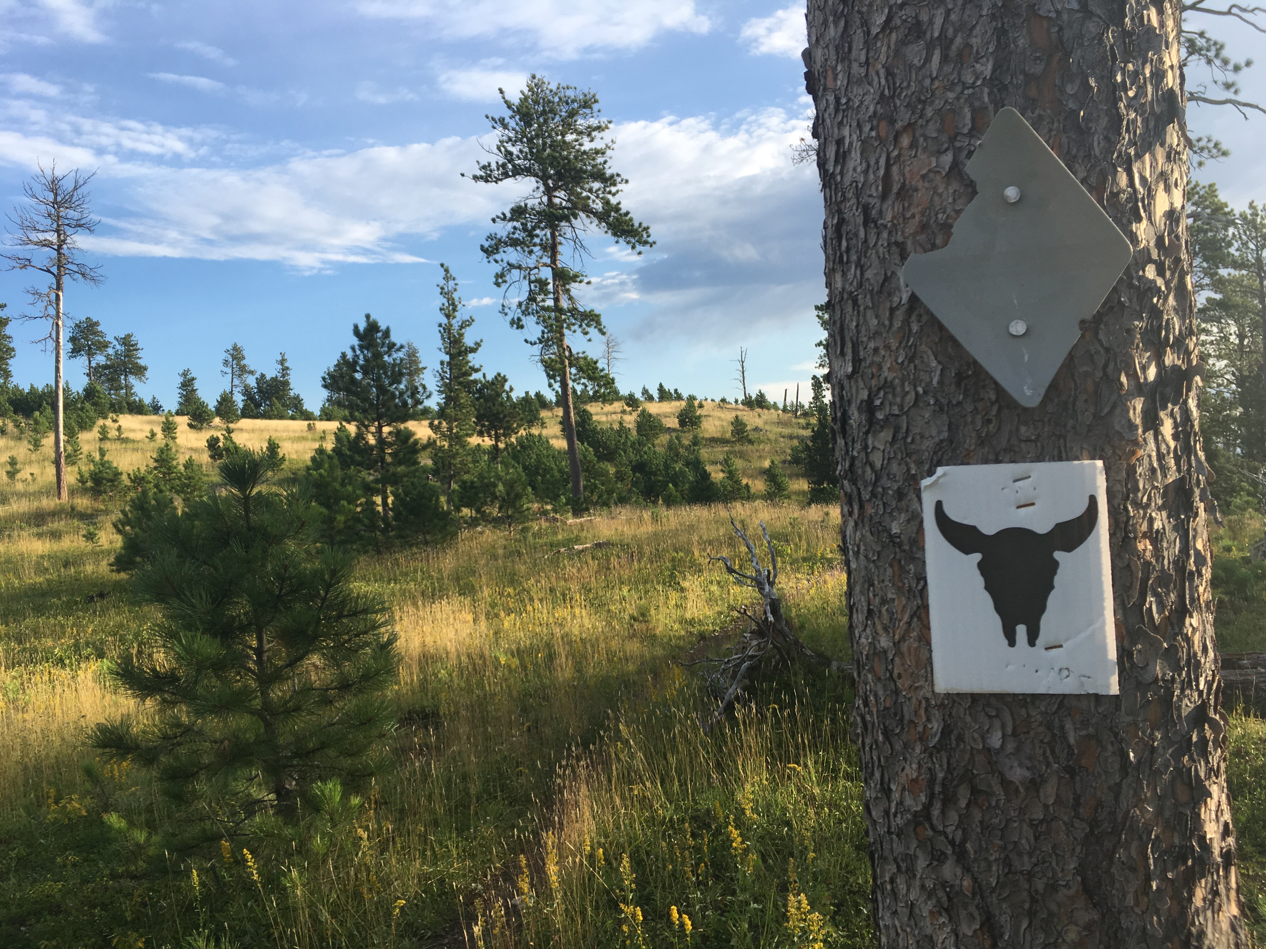 A 'confidence marker' on the Centennial Trail in South Dakota. The Great Plains Trail is contiguous with the Centennial Trail through the Black Hills