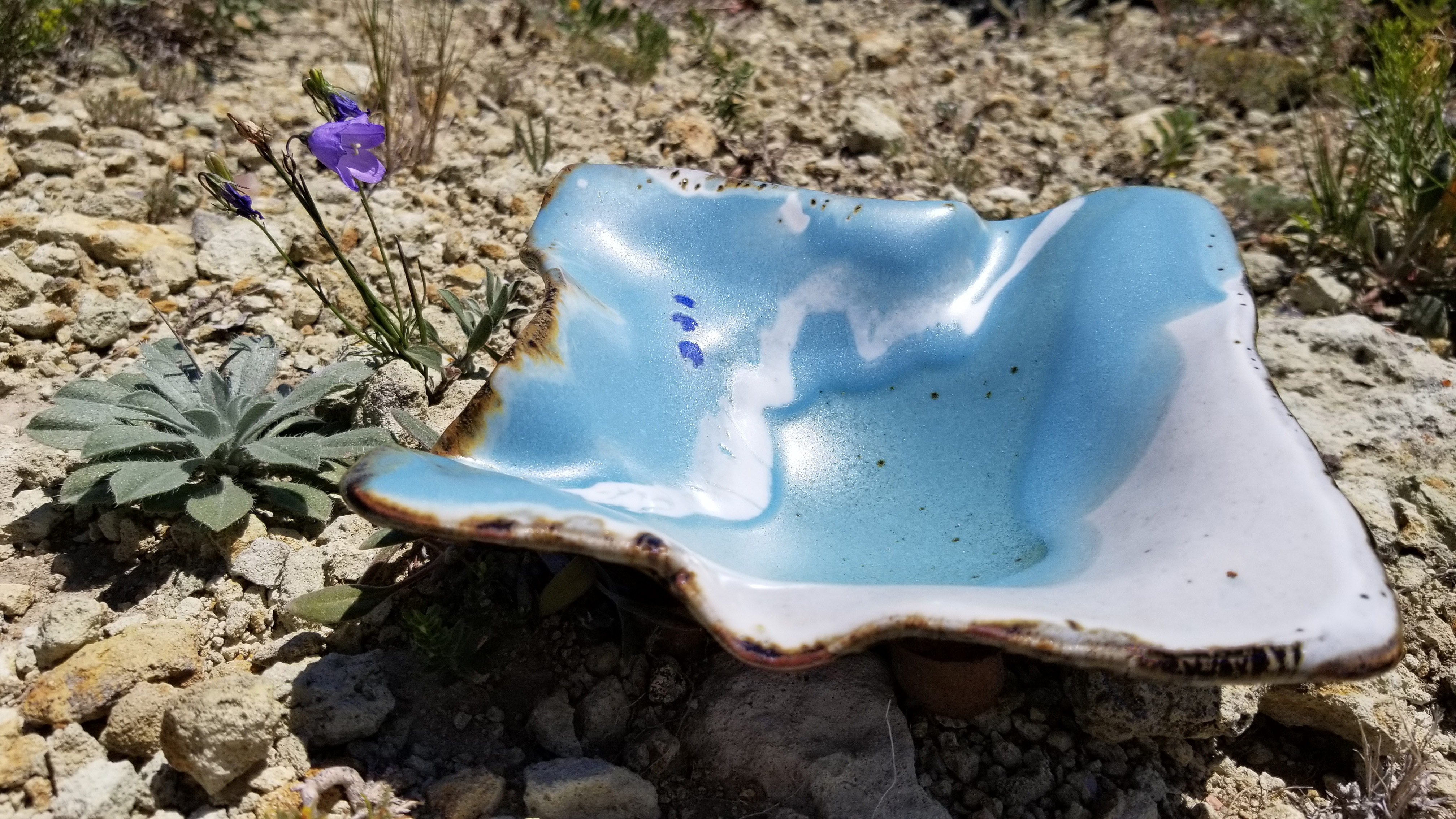 Smith made this hand-built plate using a Sage glaze. Here it's set next to its namesake