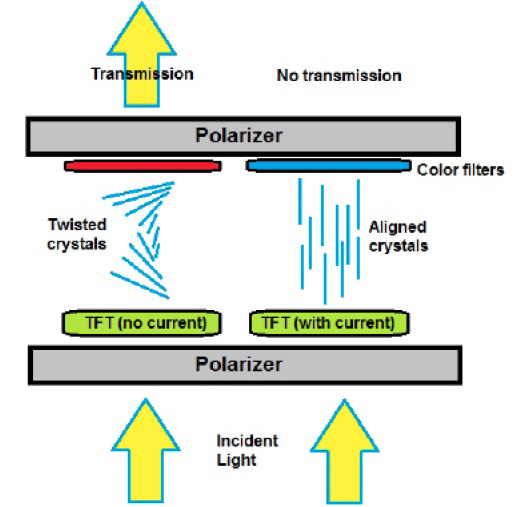 Diagram of a liquid-crystal display. When current is applied, the crystals align and are stopped at the second polarizer, creating a dark pixel. Photo courtesy of [Wikimedia Commons](https://commons.wikimedia.org/wiki/File:Liquid-crystal\_display.jpg)