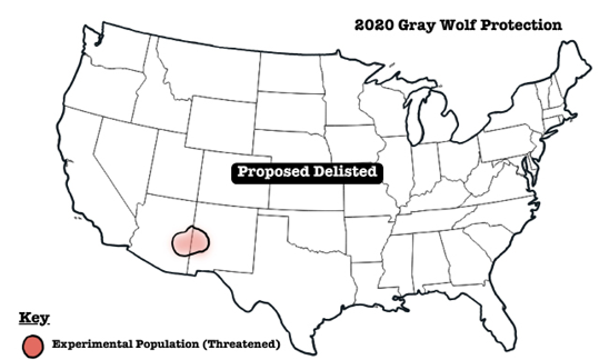2020 Gray Wolf Protection Map (Figure 8)