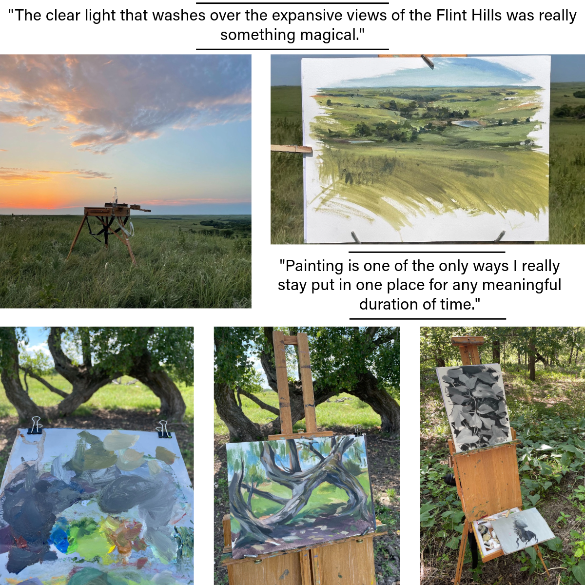 A collage of pictures of trees and a painting