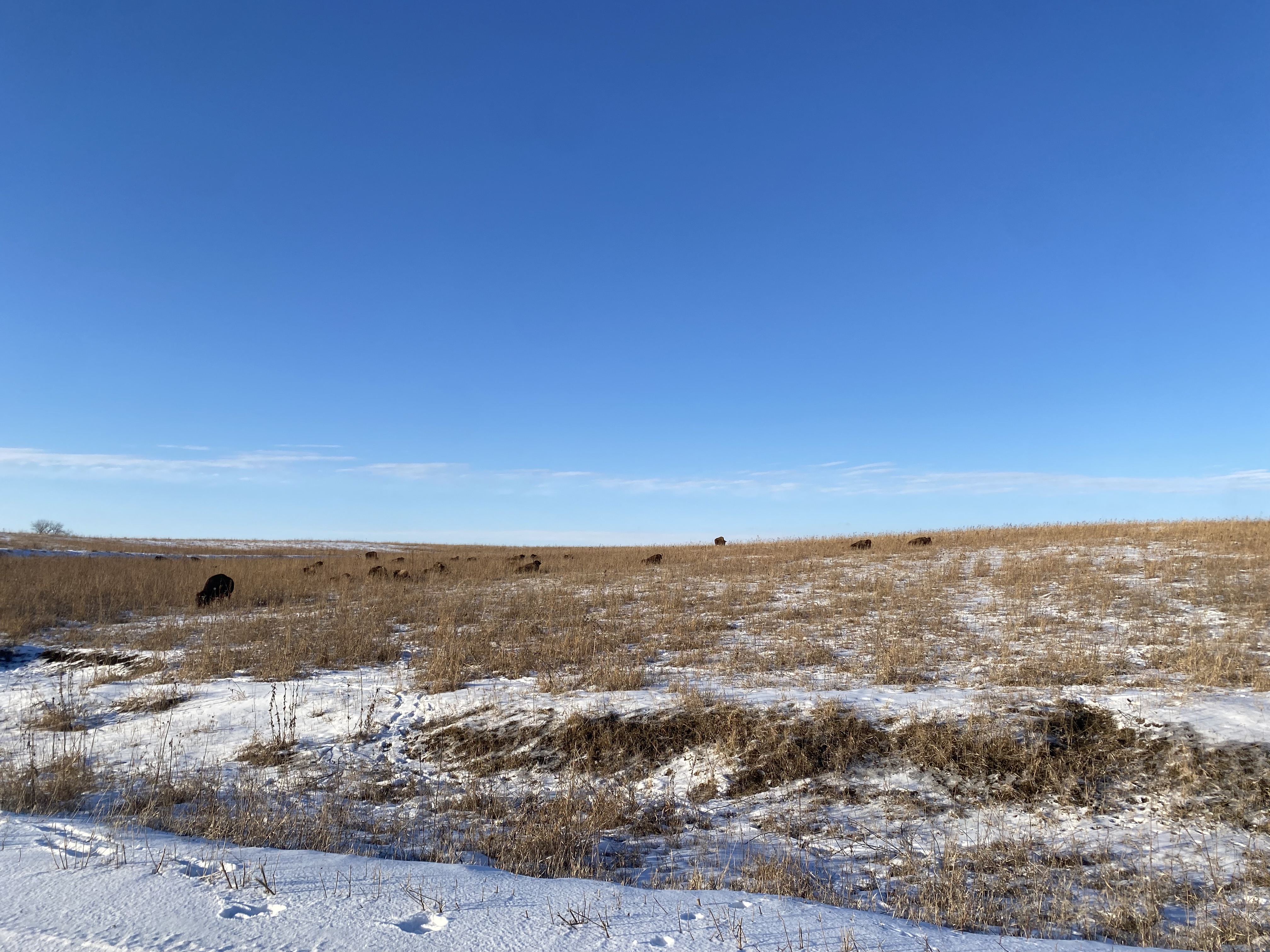 A field with snow and blue sky