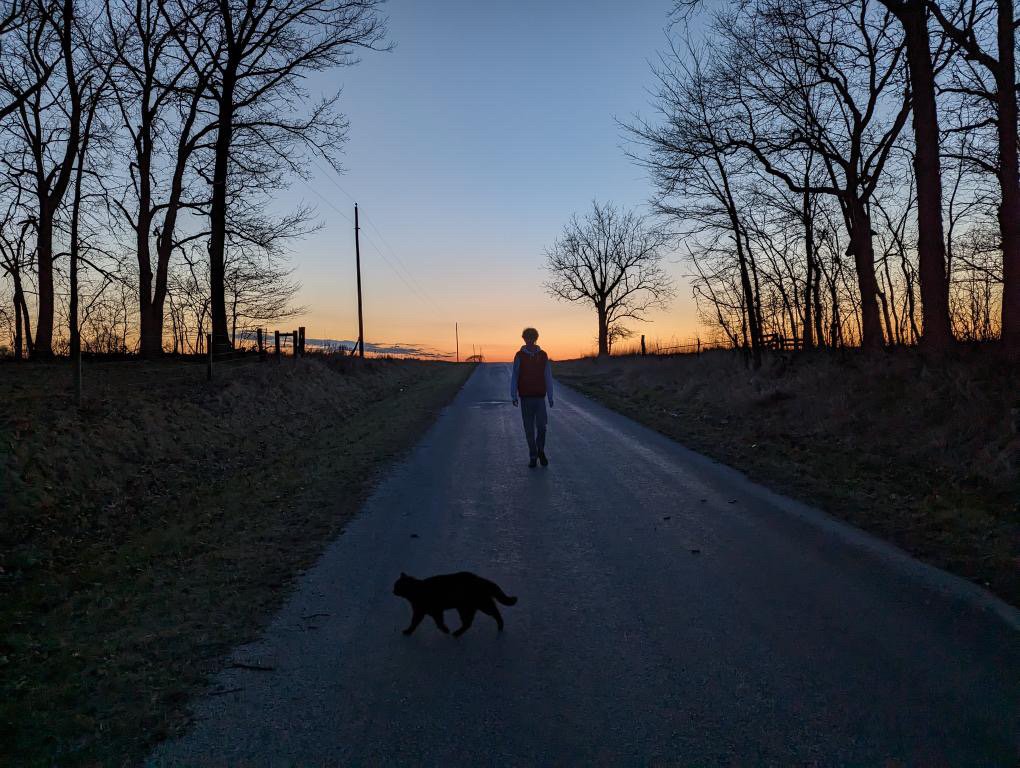 A person walking on a road with a cat