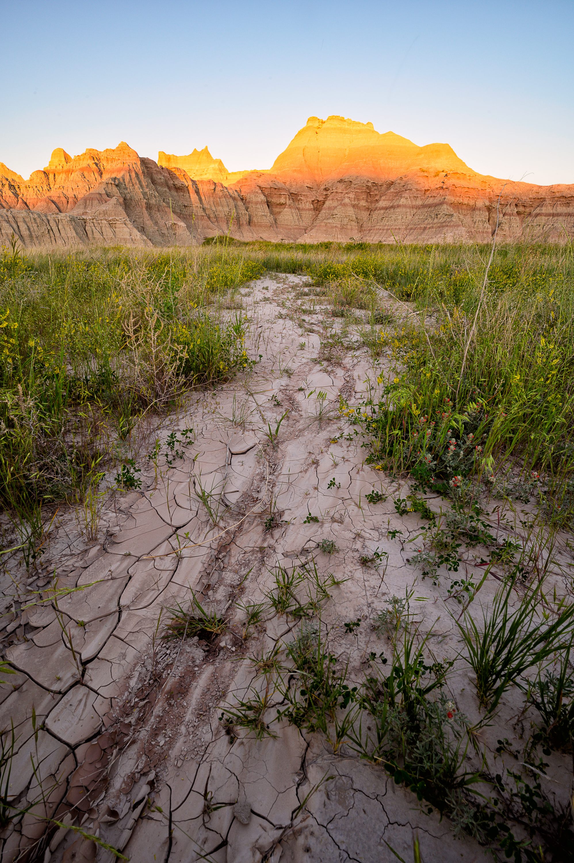 Badlands prairie landscape