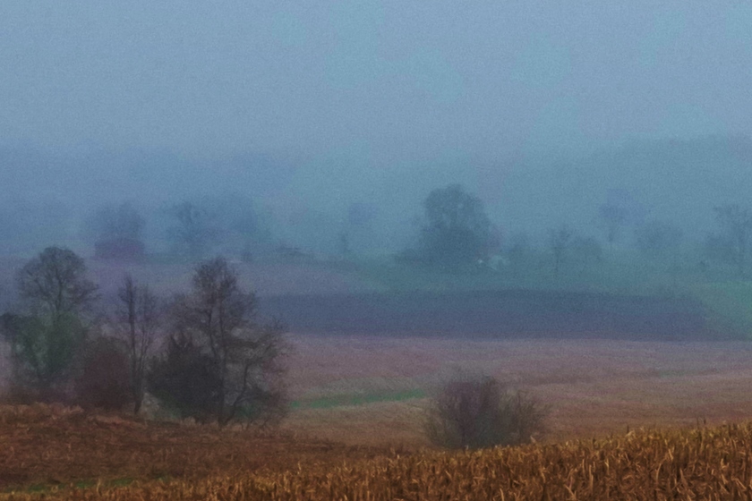 A foggy landscape with trees