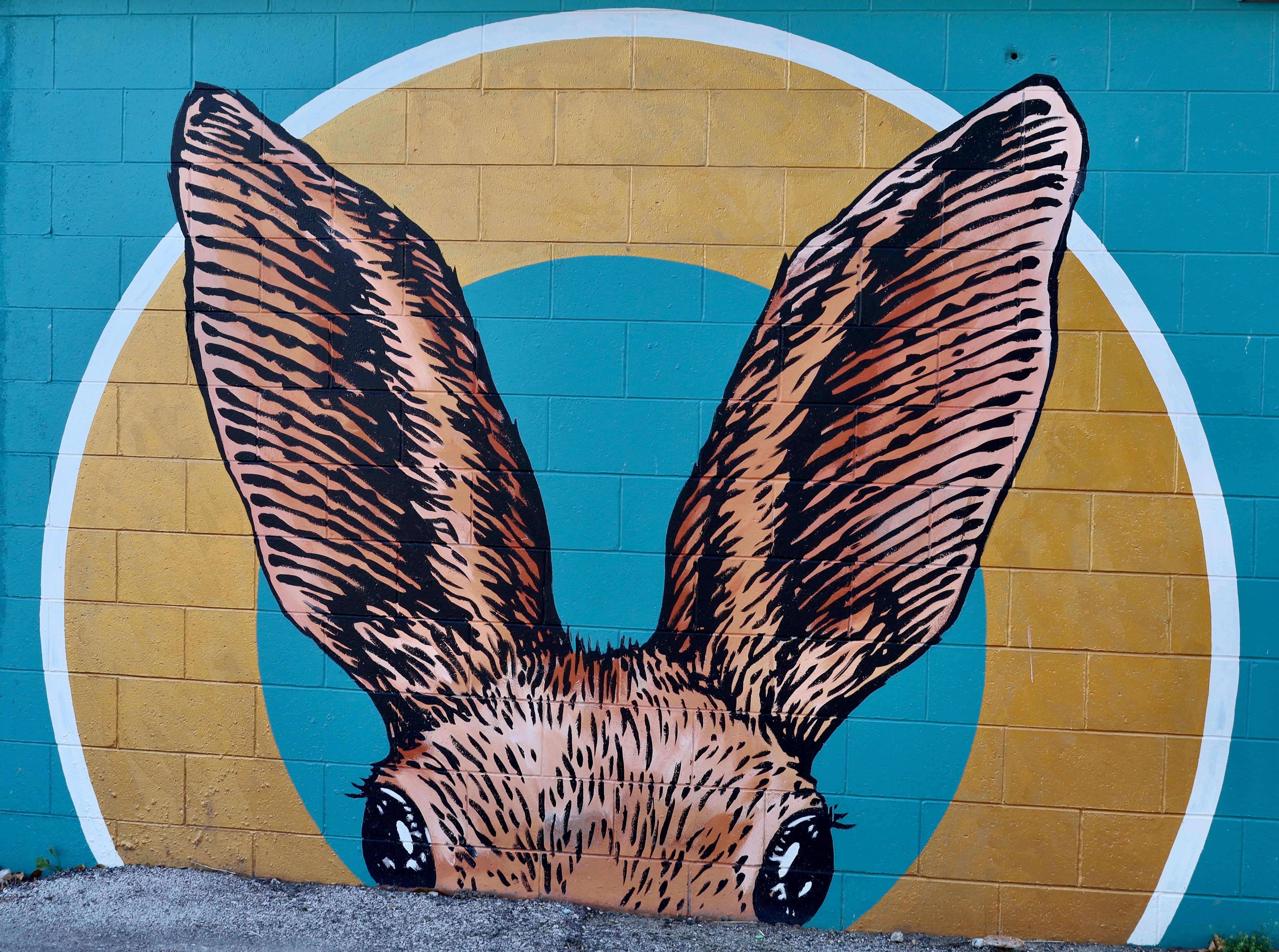 A mural of a rabbit with large ears