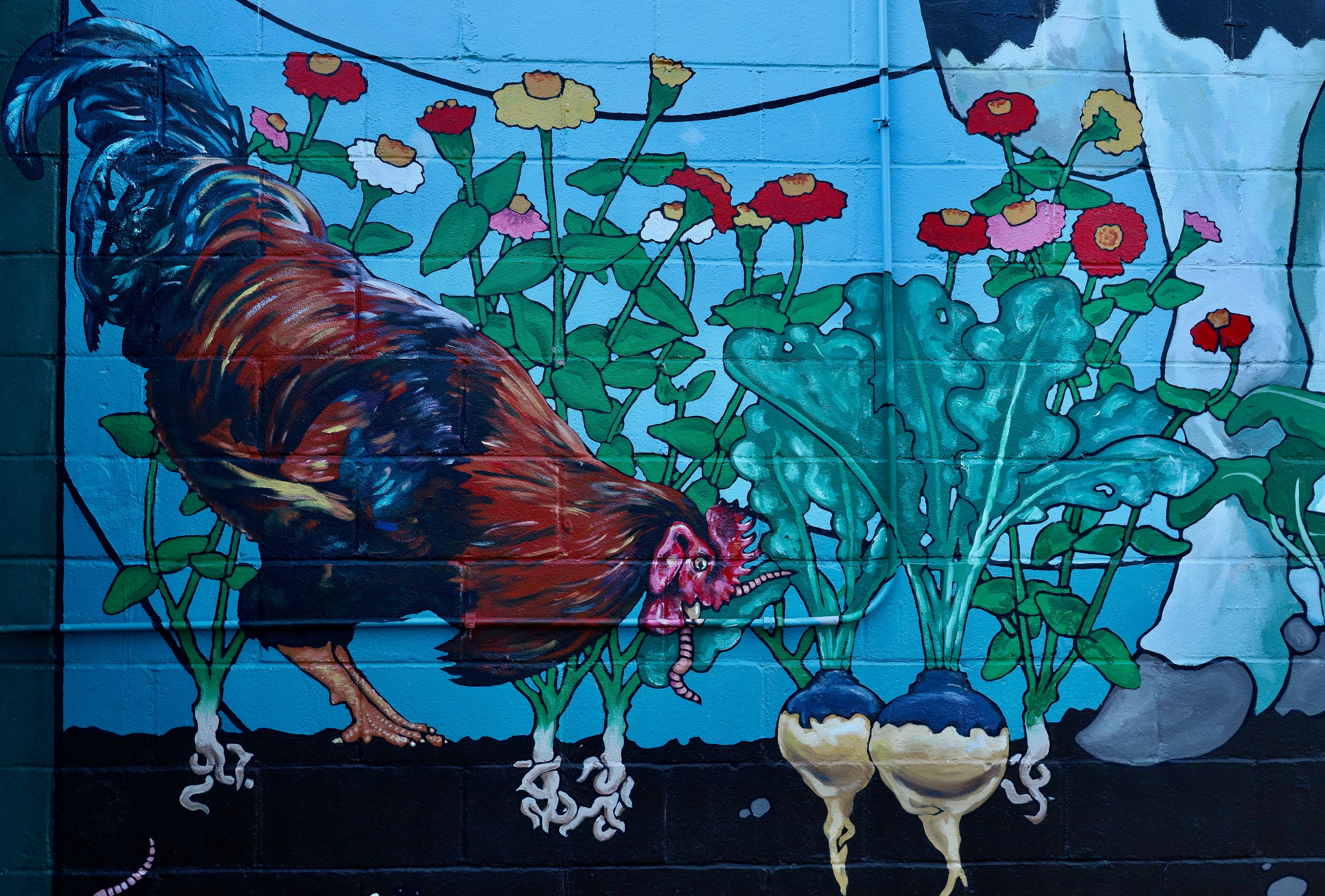 A mural of a rooster and vegetables