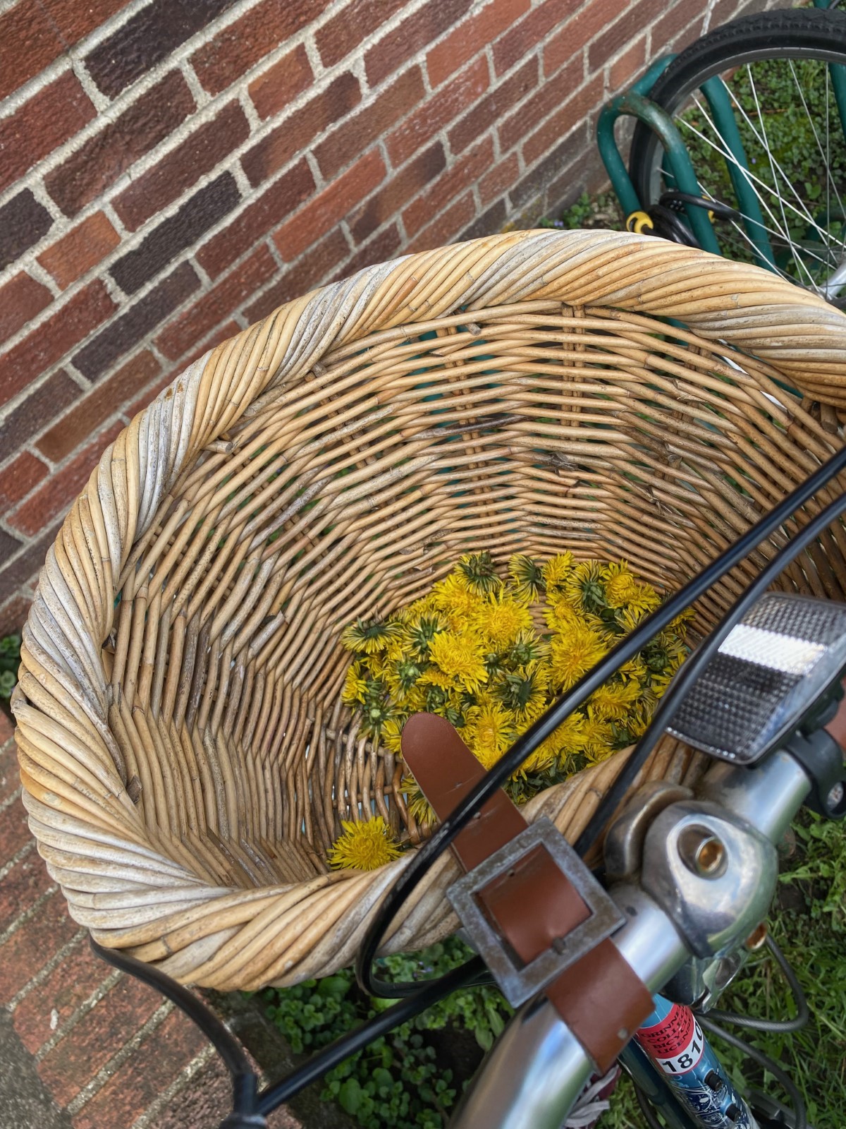 A basket full of dandelions